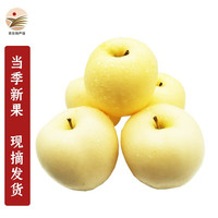 山东烟台红富士冰糖心苹果丑苹果水果生鲜 新鲜脆甜80-85mm 山东奶油富士5斤装