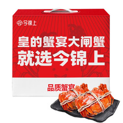 今锦上 鲜活大闸蟹 公3.0-3.2两 母2.0-2.2两 4对8只 588型现货螃蟹礼盒 去绳足重 国产礼盒海鲜水产