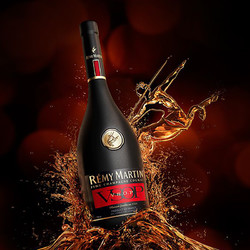 RÉMY MARTIN 人头马 VSOP1000ml优质香槟欧版