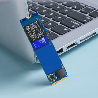 Western Digital 西部数据 蓝盘 SN550 NVMe M.2 固态硬盘 500GB（PCI-E3.0）