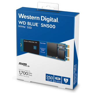 Western Digital 西部数据 蓝盘 SN500 NVMe M.2 固态硬盘 250GB WDS250G1B0C