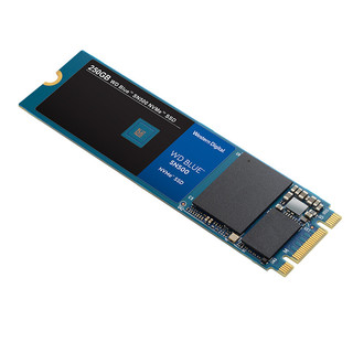 Western Digital 西部数据 蓝盘 SN500 NVMe M.2 固态硬盘 250GB WDS250G1B0C