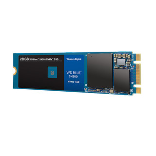 Western Digital 西部数据 蓝盘 SN500 NVMe M.2 固态硬盘 250GB WDS250G1B0C