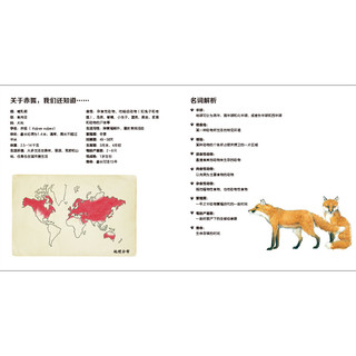 《我的野生动物朋友》（套装共8册）