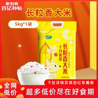 SHI YUE DAO TIAN 十月稻田 东北长粒香大米农家自产香米粳米 5kg