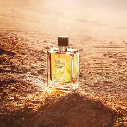 HERMÈS 爱马仕 大地男士馥郁香根草香水 EDP 100ml