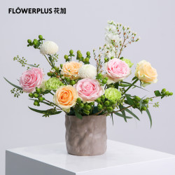 Flowerplus 花加大师系列高级混搭鲜花包月花束创意花束速递包邮多少钱 什么值得买