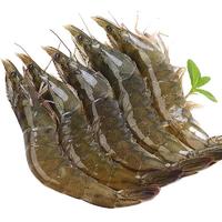 CAi FAN 采蘩 海捕大虾 1.4-1.6kg