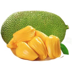 沃多鲜 海南黄肉菠萝蜜 15-20斤