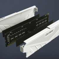 GW 光威 GLOWAY 光威 天策系列 DDR4 3200MHz 台式机内存 马甲条 皓月白 8GB