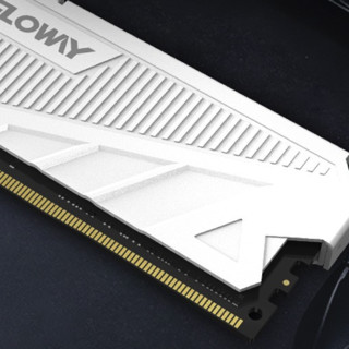 GW 光威 天策系列 DDR4 3200MHz 台式机内存 马甲条 皓月白 8GB