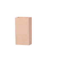 威比特 牛皮纸收纳袋 2号款 60g*100个