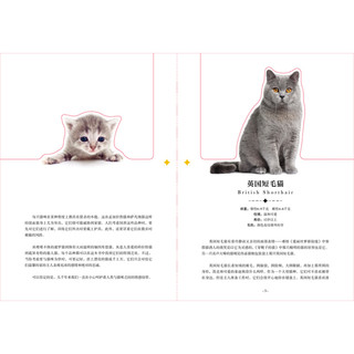 《纸上景观·狗狗+猫咪》（套装共2册）