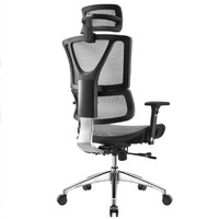 Ergoup 有谱 1806 人体工学椅 升级版 灰色