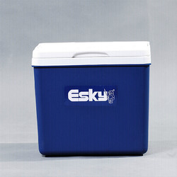 Esky ESKY 爱斯基 户外保温箱 10L 附12冰袋