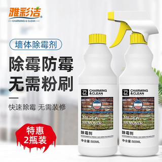 YACAIJIE 雅彩洁 墙体除霉剂500ml