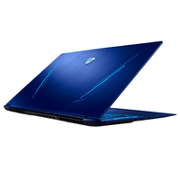 MACHENIKE 机械师 F117 FPlus 10代酷睿版 17.3英寸 游戏本 蓝色 (酷睿i7-1075H、RTX 2060 6G、8GB、512GB SSD、1080P、144Hz)