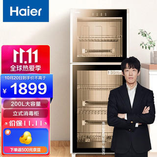 Haier 海尔 消毒柜 立式200L家用商用食堂餐馆大容量高温碗筷餐具消毒碗柜 双层双温二星级消毒200-F