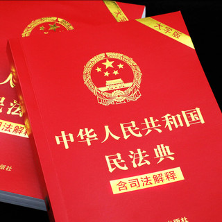《中华人民共和国民法典·含司法解释》（大字版）