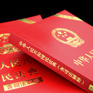 《中华人民共和国民法典·含司法解释》（大字版）