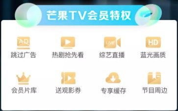 芒果TV会员12个月