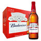 PLUS会员、有券的上：Budweiser 百威 淡色拉格啤酒 600ml*12瓶 大瓶 整箱装
