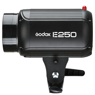 Godox 神牛 E250 闪光灯 通用型 三灯套装