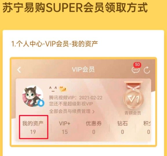 Tencent 腾讯 视频VIP会员12个月+苏宁易购super会员年卡 送140元津贴