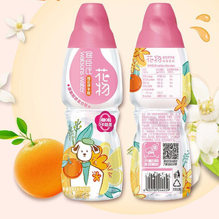 watsons 屈臣氏 花物 橙花伊予柑风味 400ml*12瓶