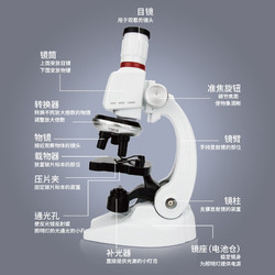 魔法行星 显微镜 1200倍