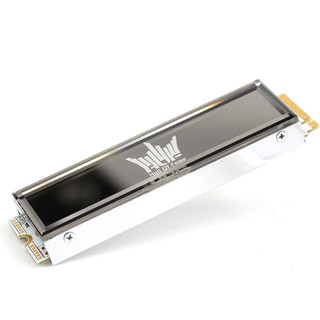 GALAXY 影驰 名人堂HOF Pro 20 M.2接口固态硬盘 NVMe PCIe4.0 1TB