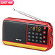 SAST 先科 V30红 收音机老人老年人充电插卡迷你小音箱便携式随身听fm调频广播音响音乐播放器