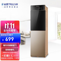 沁园春 沁园（TRULIVA）饮水机 高端智能家用立式双门温热型 沸腾胆加热外置壶茶吧机 YL9766WZ