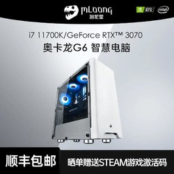 MLOONG 名龙堂 台式组装电脑主机（i5-10400F、16GB、480GB、RTX3070）