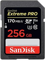 SanDisk 闪迪 Extreme PRO SDXC 256GB