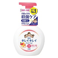 LION 狮王 泡沫洁净儿童洗手液 水果香型 500ml