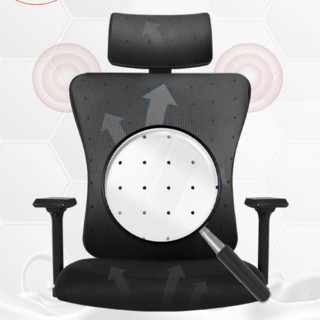 Gedeli 歌德利 轻办公系列 G19 人体工学电脑椅 黑色 乳胶头背座+钢制脚款