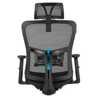 Gedeli 歌德利 轻办公系列 G19 人体工学电脑椅 黑色 海绵坐垫+钢制脚款