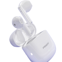 PISEN 品胜 A Buds Pro 半入耳式真无线动圈主动降噪蓝牙耳机 苹果白