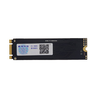 ADATA 威刚 120GB SSD固态硬盘 M.2接口(SATA协议) SP580M2系列