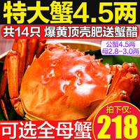 14只特大现货大闸蟹鲜活螃蟹礼盒全母官方旗舰活物河蟹阳澄湖镇发