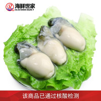 海鲜世家 韩国冷冻生蚝肉（特大号牡蛎肉） 500g 17-22只 袋装  火锅食材 海鲜水产
