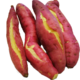 PLUS会员：飞犇 板栗红薯 4.5斤装