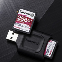 Canvas React Plus SD 闪存卡