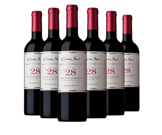 Cono Sur 柯诺苏 单一园28区佳美娜干型红葡萄酒 2020年 6瓶*750ml套组