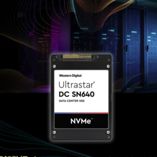 Western Digital 西部数据 Ultrastar DC SN640 NVMe U.2 固态硬盘（PCI-E3.0）