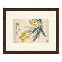 雅昌 恽寿平 古典中式水墨画《枇杷图》47x40cm 宣纸 茶褐色木框