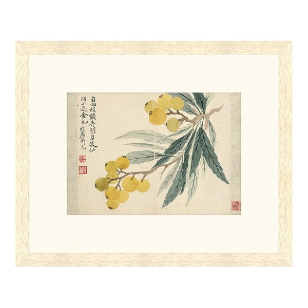 国内正規品 枇杷 ビワ 木版画 印刷物 Www Mehdimoidonc Fr