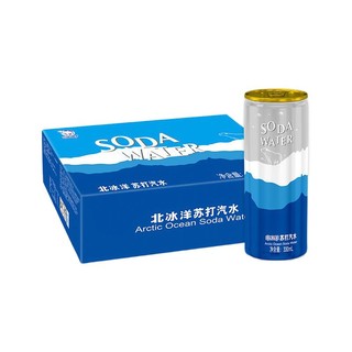 北冰洋 苏打汽水 原味 330ml*24瓶