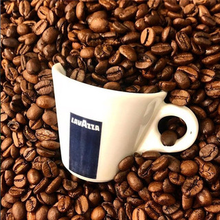 LAVAZZA 拉瓦萨 原产地精品咖啡豆大地系列 现磨纯黑咖啡粉 1kg